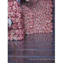 2013 nueva cosecha de cebolla roja fresca exportación india
